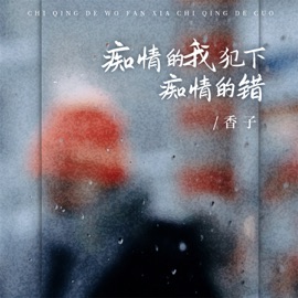 痴情的我犯下痴情的错 (DjBanan痴情版) 香子