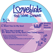 Want You In My Soul (feat. Stee Downes) [Hot Toddy Remix] - Lovebirds