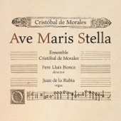 Missa Ave maris stella: VI. Agnus Dei artwork