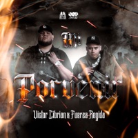 Mi Porvenir - Single - Victor Cibrian & Fuerza Regida