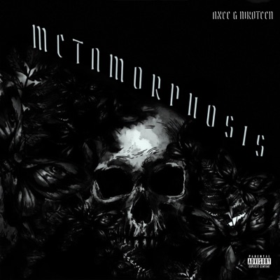 Metamorphosis (feat. NikoTeen) - Single