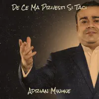 De Ce Ma Privesti Si Taci — Adrian Minune