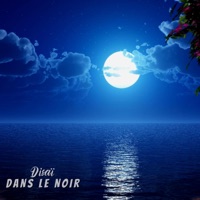 Dans le noir - Single - Disaï