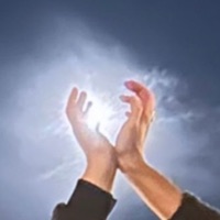 Nothing Left - Single - fauna