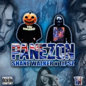 PANEZON (feat. TIPSZ) artwork