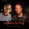 Mpheni Ya Plug - Single