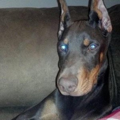 2019-2021 Graveyard - Single