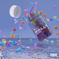 Molly - Single - Quinny