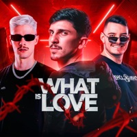 MEGA WHAT IS LOVE - Single - DJ JOSUE MARQUES & Bergsen