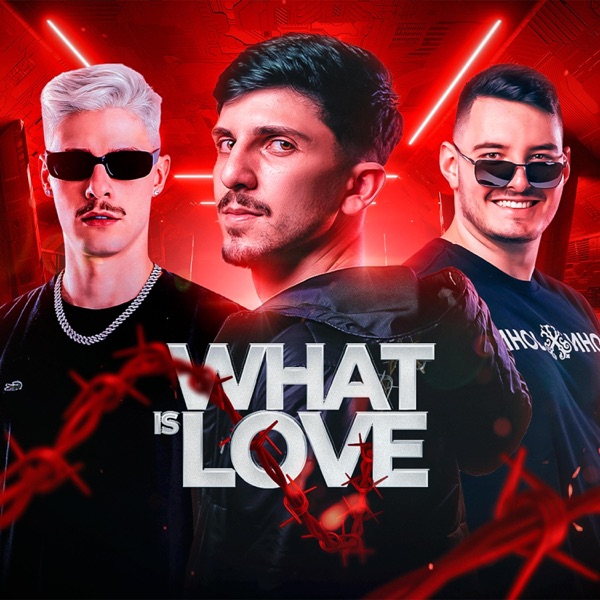 MEGA WHAT IS LOVE