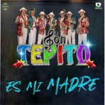 Es Mi Madre - Single
