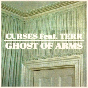 Ghost of Arms (Remixes) [feat. Terr] - Single