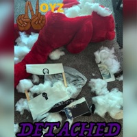 Detached - Single - Noyz