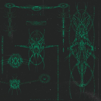 She's wet (feat. Young Meliodas) - Single