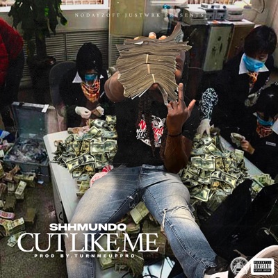 Cut Like Me - Single