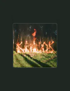 Escucha a Кружок, mira vídeos musicales, lee la biografía, consulta fechas de giras y mucho más.