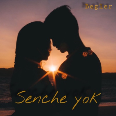 Senche Yok - Single