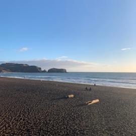 Anything I Please (feat. Leonard Read Kohler) Carter Grant