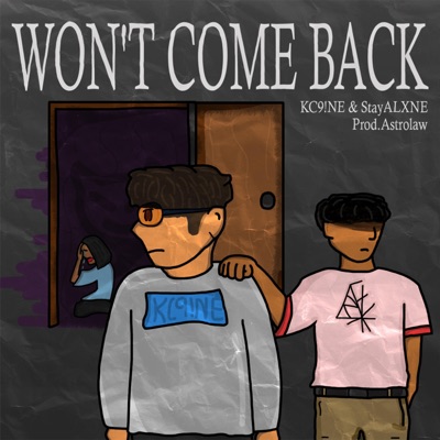 WON'T COME BACK (feat. StayALXNE) - Single