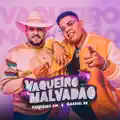 Vaqueiro Malvadão