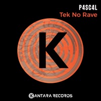 Tek No Rave - Single - P4sc4l