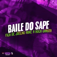 Baile do Sape - Fica de Joelho Abre a Boca Garota (feat. DJ CARVALHO DA ZO) - Single - Dj Felipe Amadeu, mc kauan zs & DJ ANDRE DUARTE