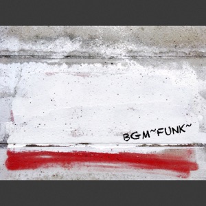 Funk13