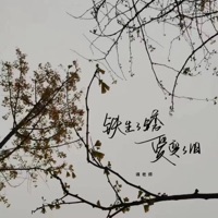 铁生了锈爱变了旧 - Single - 魂老师