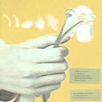 Arsonist (Burnnthruu) - Single - Jakobe