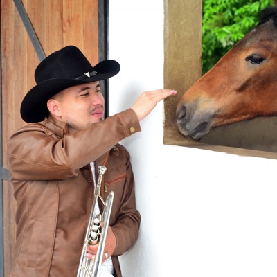 TU FALSO AMOR JOSEPH LARROTTA - Single