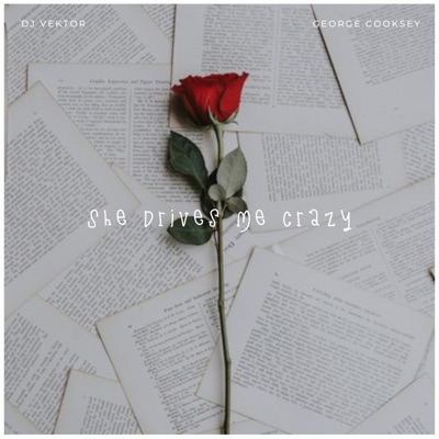 She Drives Me Crazy - Single
