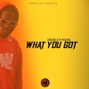 What You Got (feat. Double R) - Single