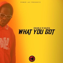What You Got (feat. Double R) Power Jay