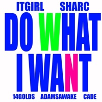 Do What I Want (feat. Sharc) - Single - ItGirl