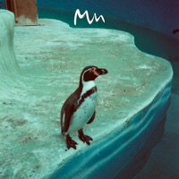 Arms - Single - Model Man