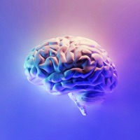 Braincation - Wayne Brain