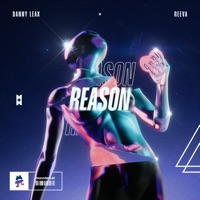Reason - Single - Danny Leax & Reeva