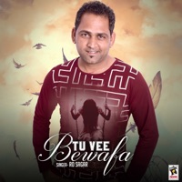 Tu Vee Bewafa - Single - R D Sagar