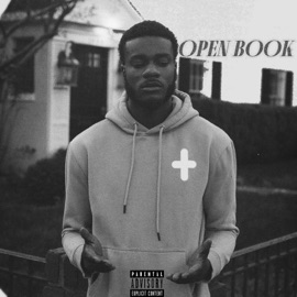 Open Book Great Dame