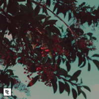 Nosta Lane - Single - Sons Cassettes