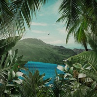 costas douradas - don C