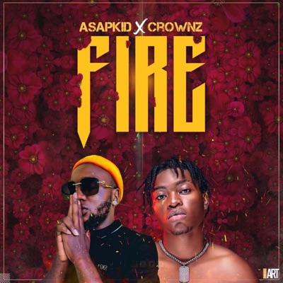 Fire (feat. Crownz) - Single