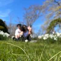 FYL (feat. Average Joe) - Single - ivume