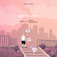 No Te Veo (feat. Aníbal Dominguez) - Single - AngelR