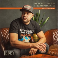 What Was I Drinking (Acoustic) - Single - Tebey
