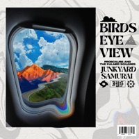 Birds Eye View - Single - The Palmer Squares, Probcause & Junkyard Samurai
