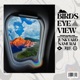 Birds Eye View Single