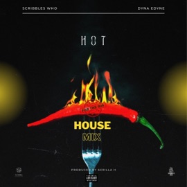 Hot (at the W Hotel) (feat. Dyna Edyne) [House Mix] Scribbles Who