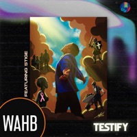 Testify (feat. Stige & Maor Mo) - Single - WahB