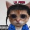 LiL Feen (Dop) - Beat. Makes lyrics